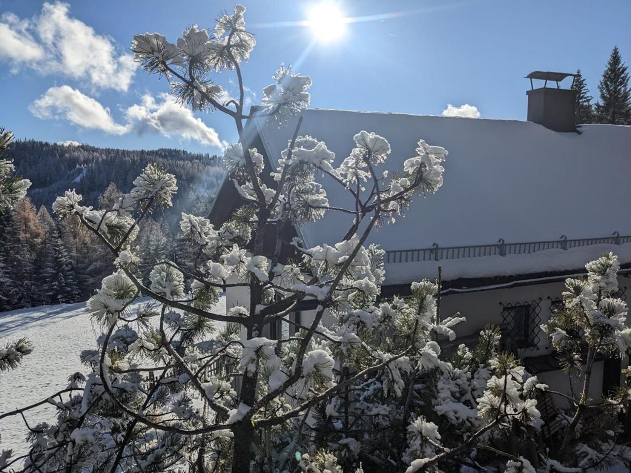 Lalo Alm - Berge Erleben Villa Lachtal Eksteriør bilde
