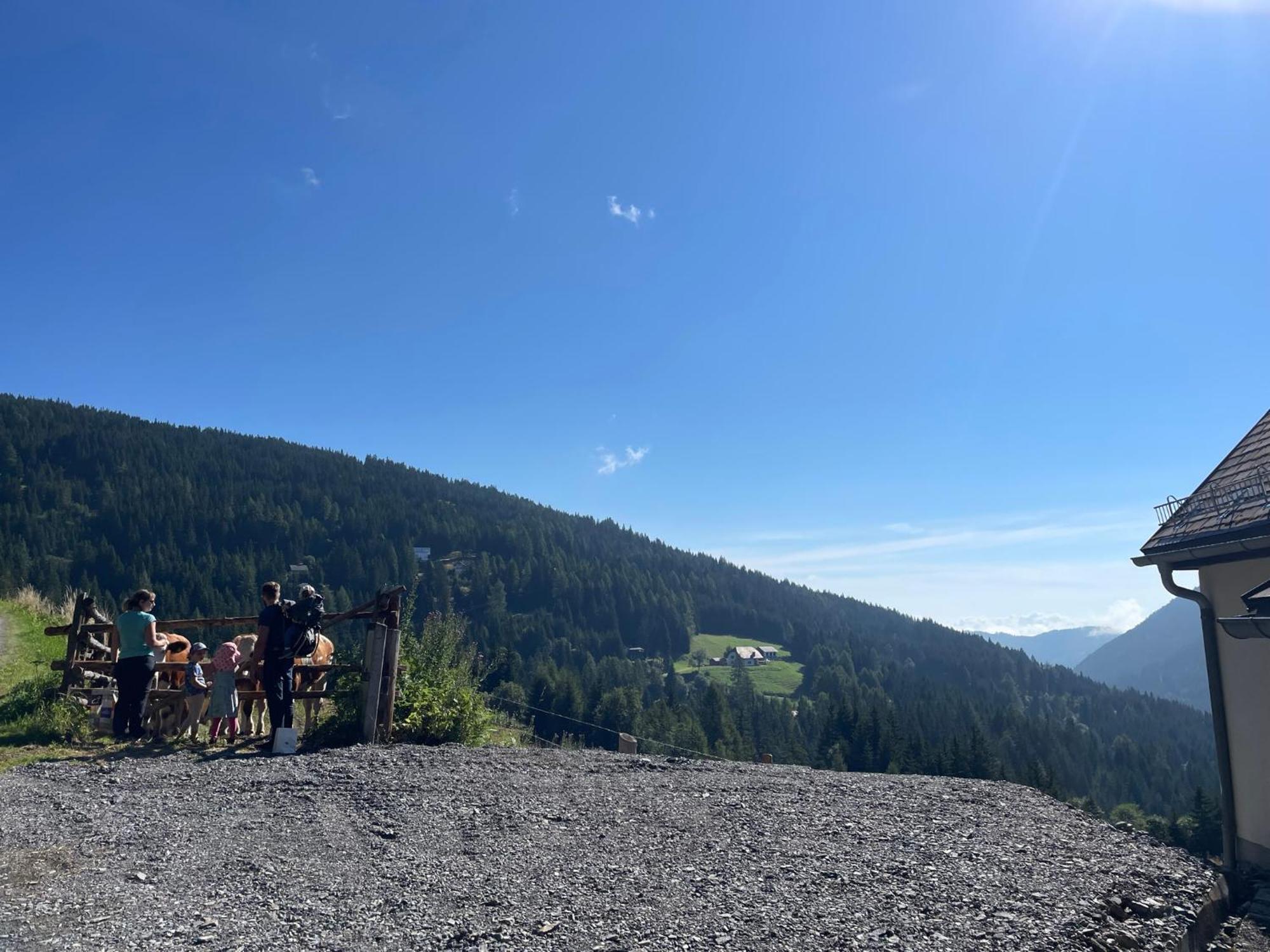 Lalo Alm - Berge Erleben Villa Lachtal Eksteriør bilde