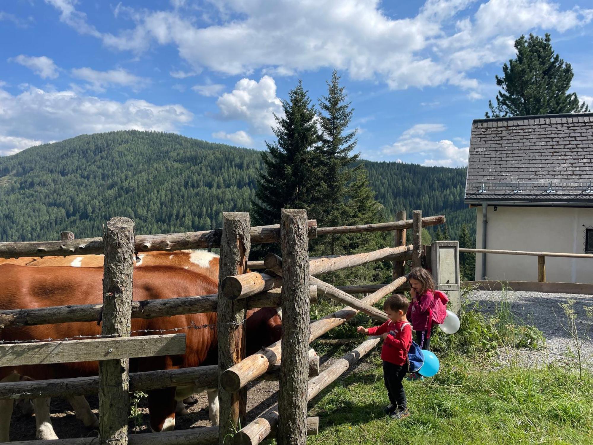Lalo Alm - Berge Erleben Villa Lachtal Eksteriør bilde